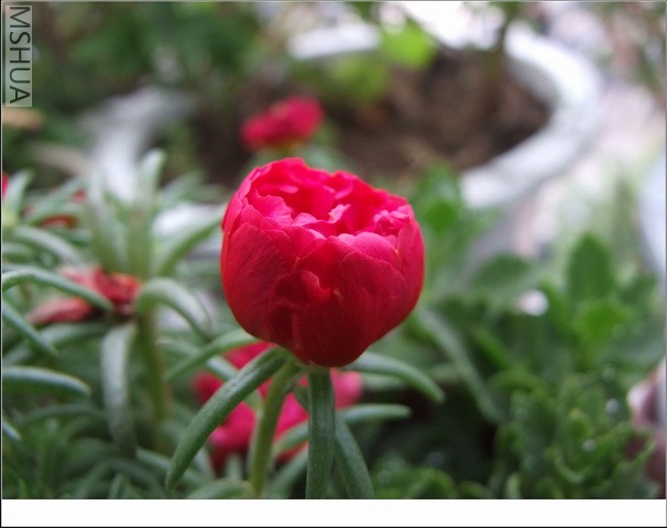 ������С ̫������19.jpg