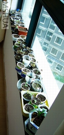 ������С P1040417.jpg