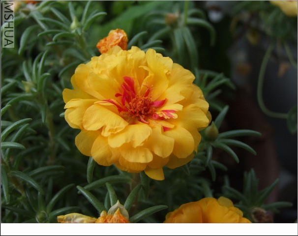 ������С ̫������16.jpg