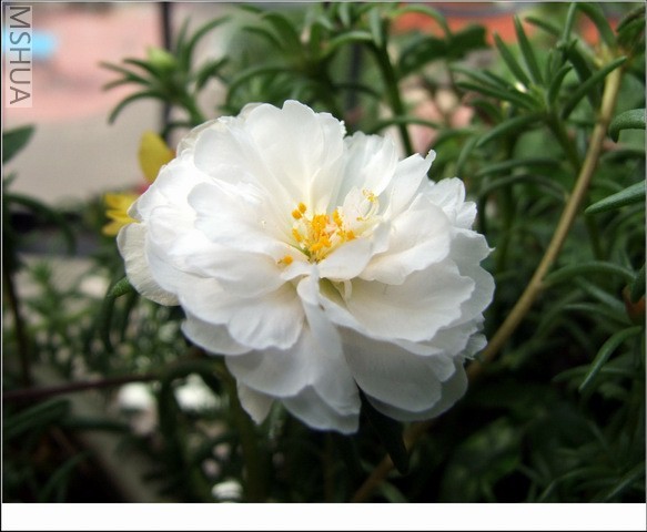 ������С ̫������19.jpg