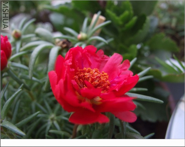 ������С ̫������22.jpg