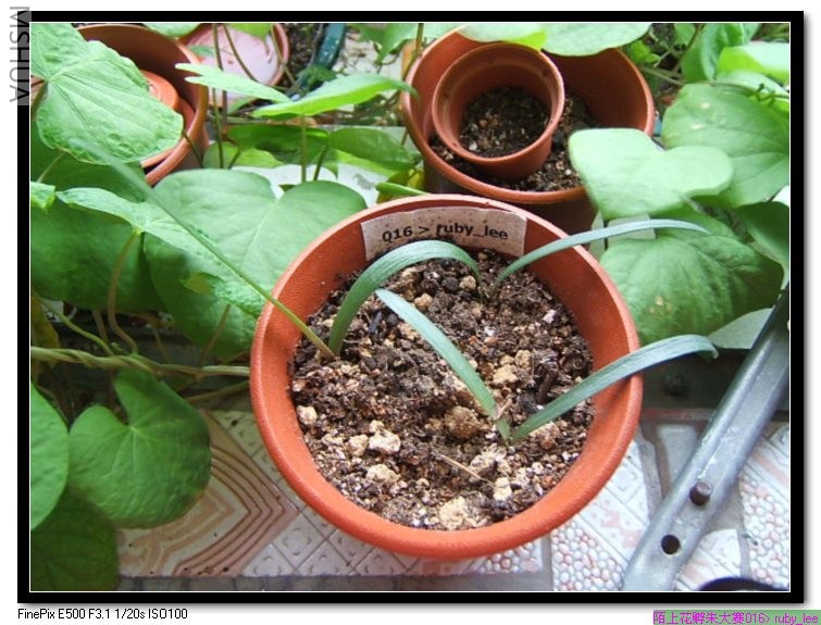 ȫ�Ҹ�TWO���þ�û��ˮ�ˣ��ɻ���