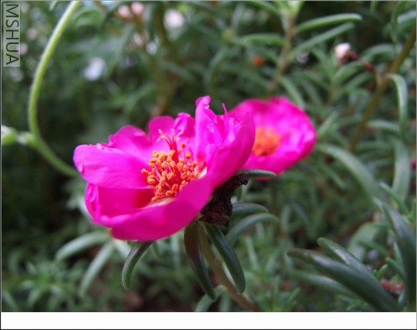 ������С ̫������15.jpg