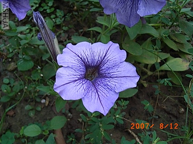 RIMG0025.JPG