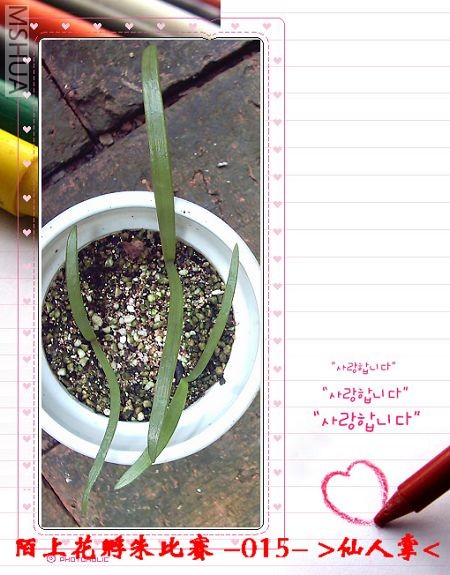 ����8.13 (2).JPG