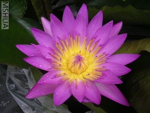 DSCN7469.JPG