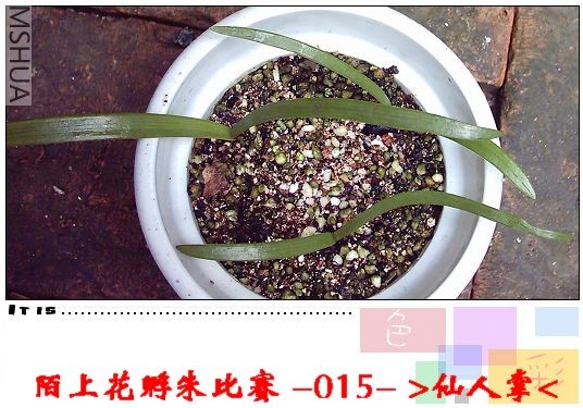 ����8.13 (5).JPG