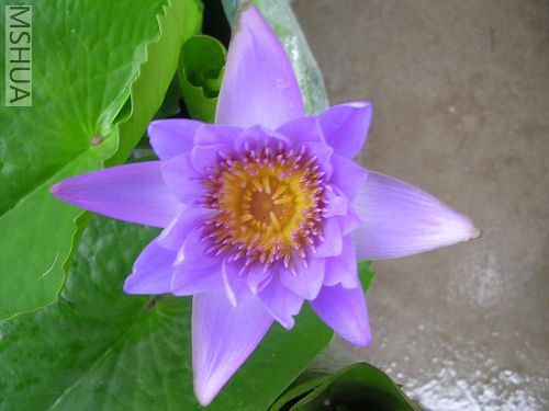 DSCN7470.JPG