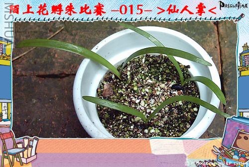 ����8.13 (4).JPG