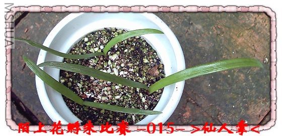 ����8.13 (1).JPG