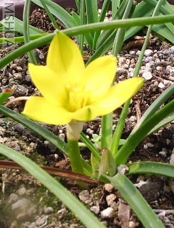 PIC_0001.jpg