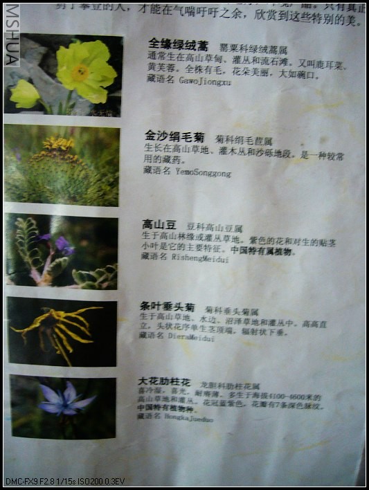 P1070469_nEO_IMG.jpg
