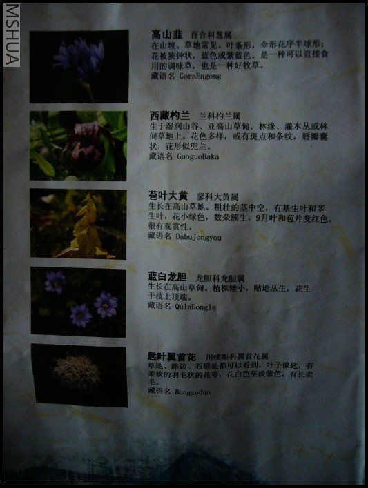 P1070468_nEO_IMG.jpg