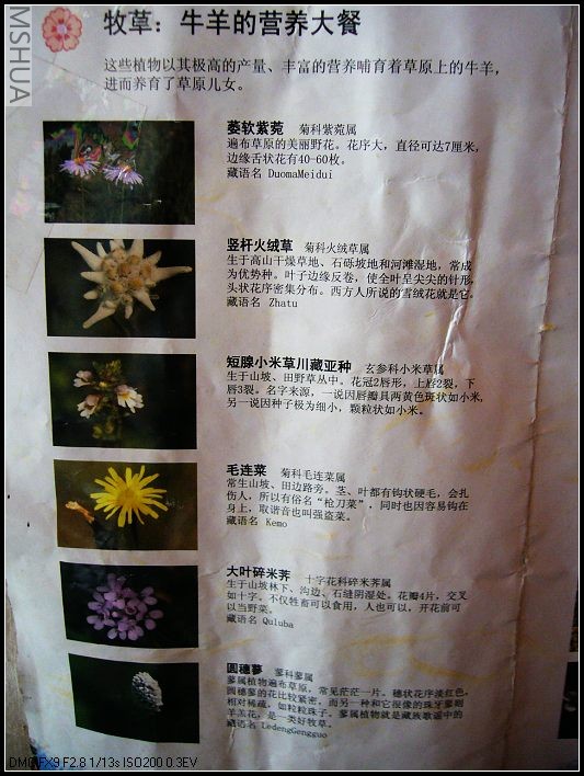 P1070471_nEO_IMG.jpg