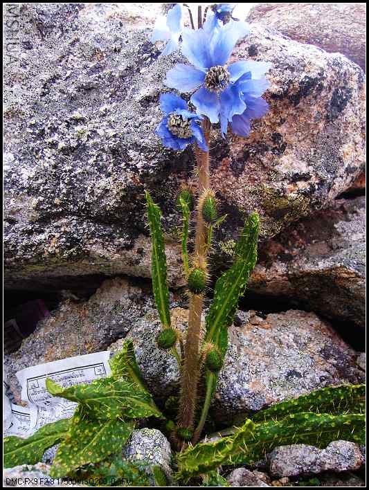 P1070090_nEO_IMG.jpg