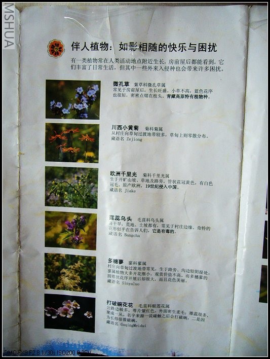 P1070472_nEO_IMG.jpg