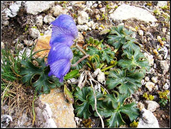 P1070075_nEO_IMG.jpg