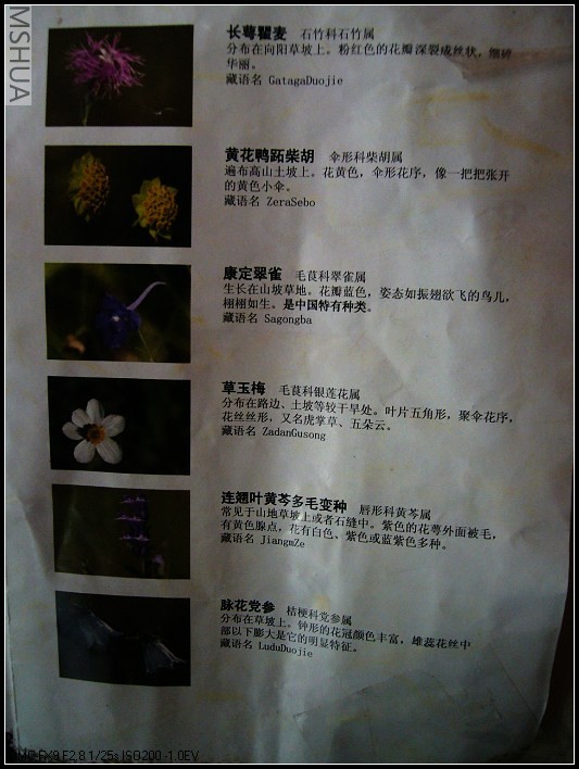 P1070467_nEO_IMG.jpg