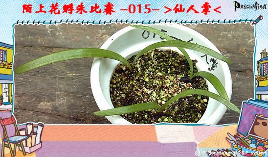 ����8.16 (1).JPG