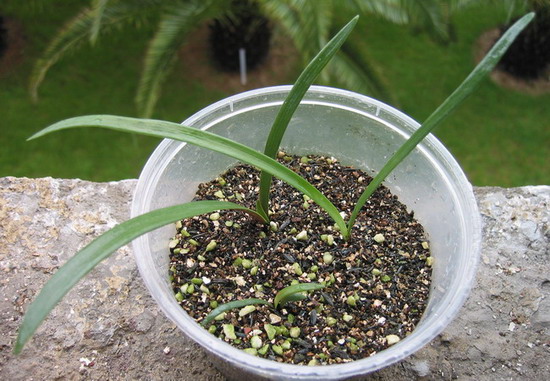 8��16��С�쿪��