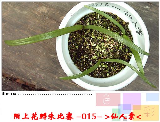 ����8.16 (4).JPG