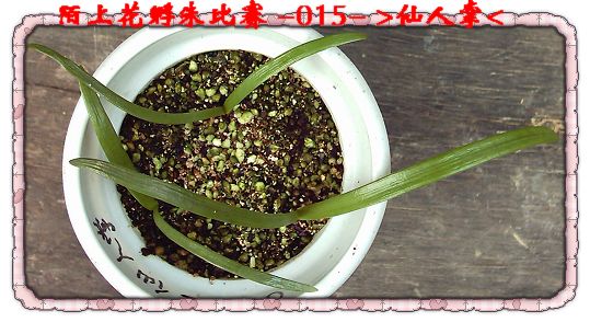 ����8.16 (3).JPG