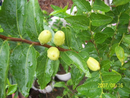 20070413 315.jpg