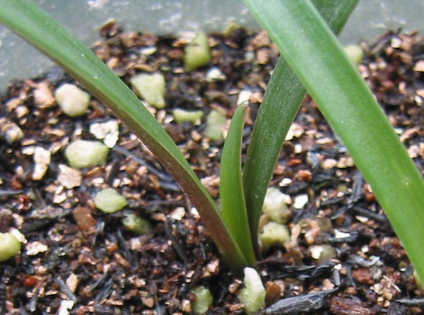 8��16��#1С��