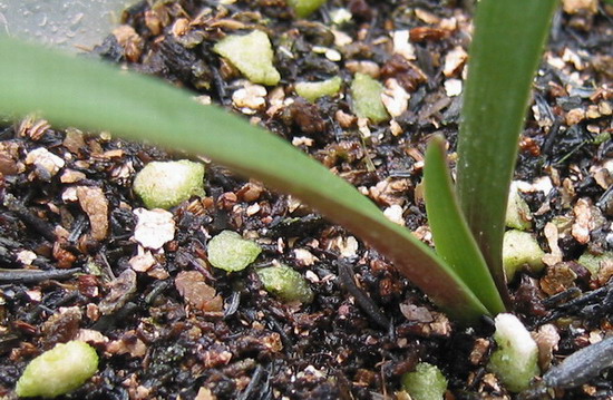 8��16��#1С��