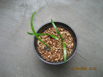 ��Ƭ 001_������С.jpg