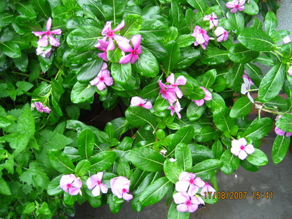 ��Ƭ 014_������С.jpg