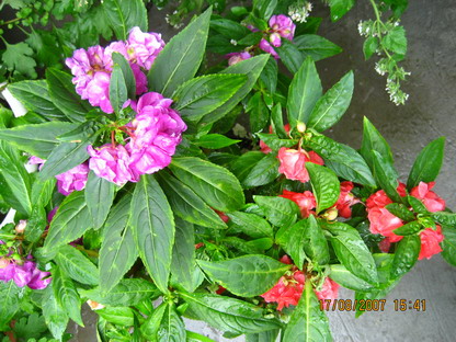 ��Ƭ 013_������С.jpg