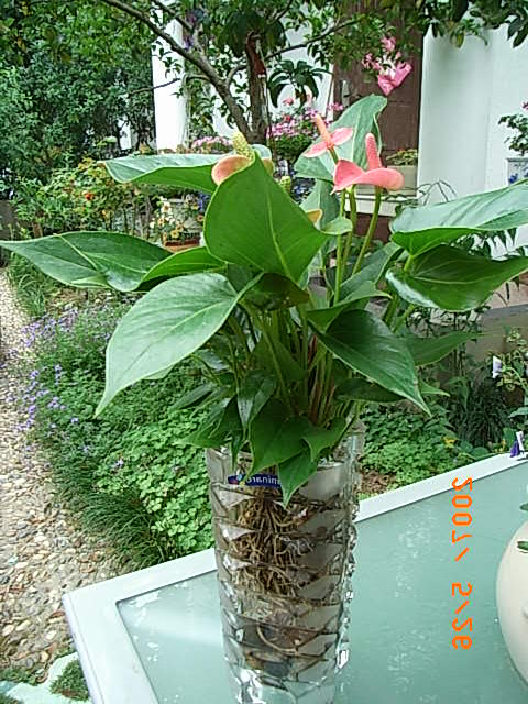 ��Ƭ 038.jpg
