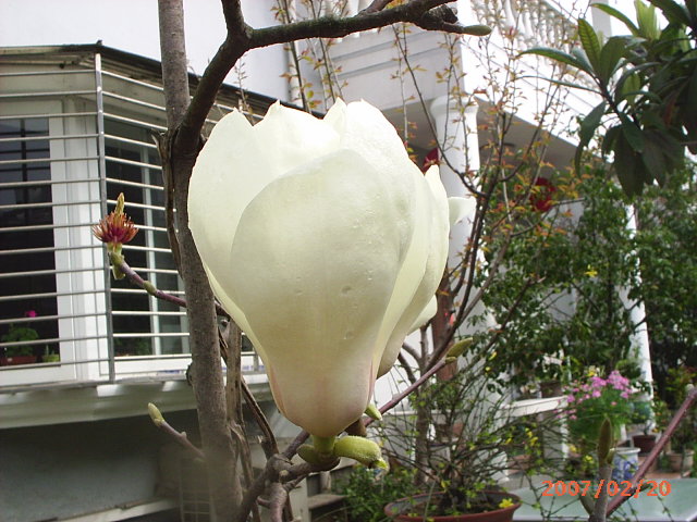 PIC_0023.JPG