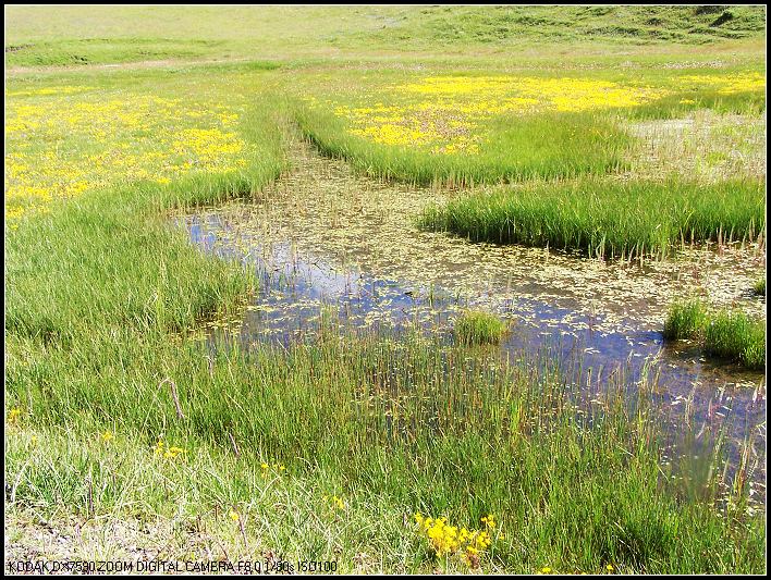 ��Ƭ1 289_nEO_IMG.jpg