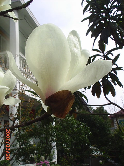 PIC_0024.jpg