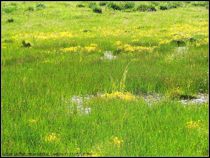 ��Ƭ1 297_nEO_IMG.jpg