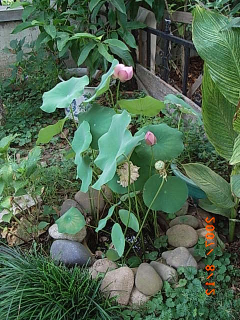 RIMG0022.JPG