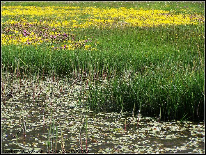 ��Ƭ1 293_nEO_IMG.jpg