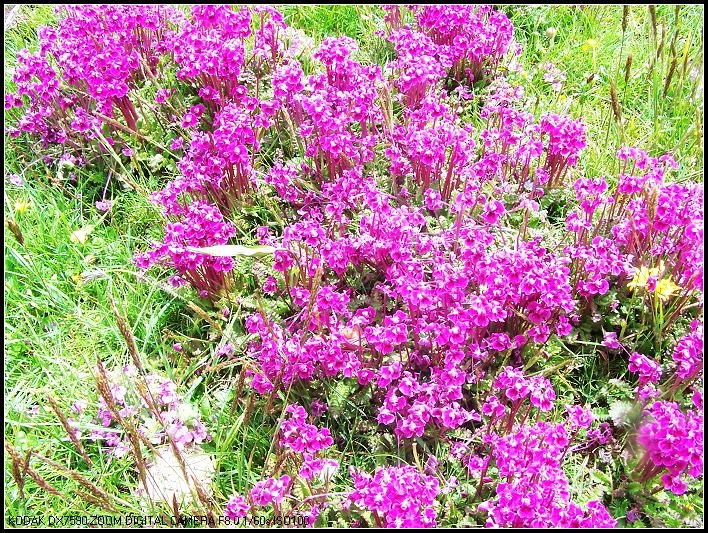 ��Ƭ1 253_nEO_IMG.jpg