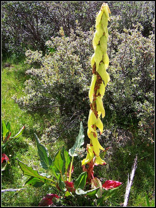 ��Ƭ1 219_nEO_IMG.jpg