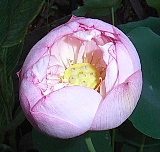 RIMG0001.jpg