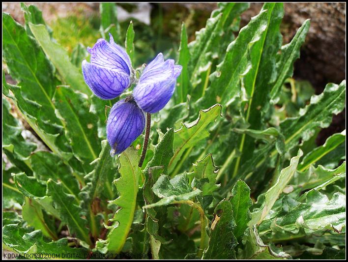 ��Ƭ 446_nEO_IMG.jpg