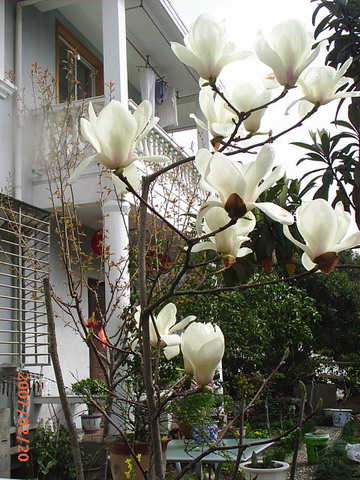 PIC_0025.jpg