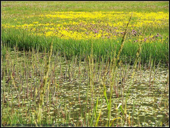 ��Ƭ1 294_nEO_IMG.jpg