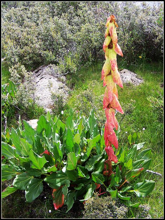 ��Ƭ1 218_nEO_IMG.jpg