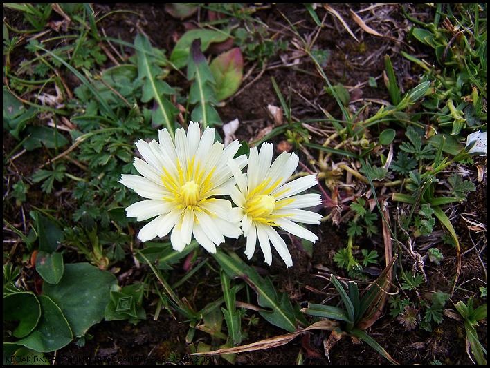 ��Ƭ 471_nEO_IMG.jpg