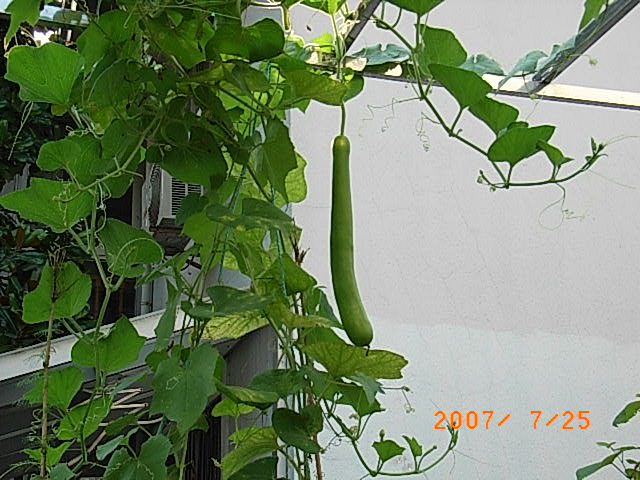 RIMG0032.JPG