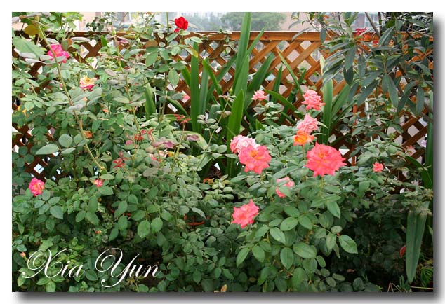 IMG_2028 ����.jpg