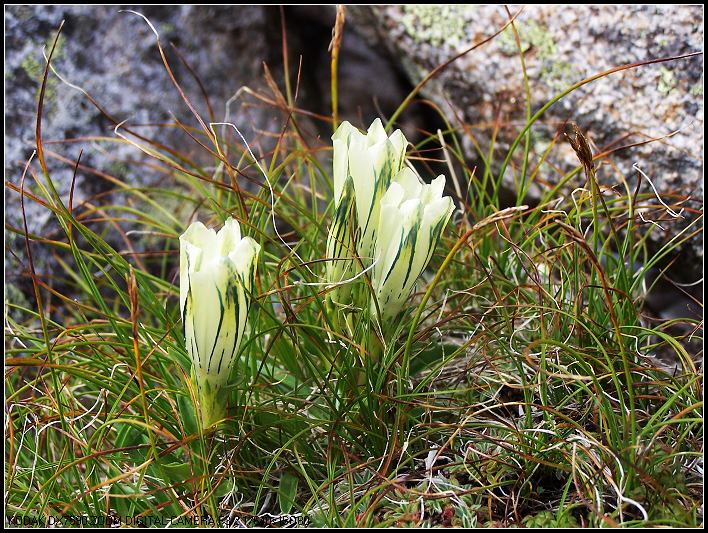 ��Ƭ 439_nEO_IMG.jpg